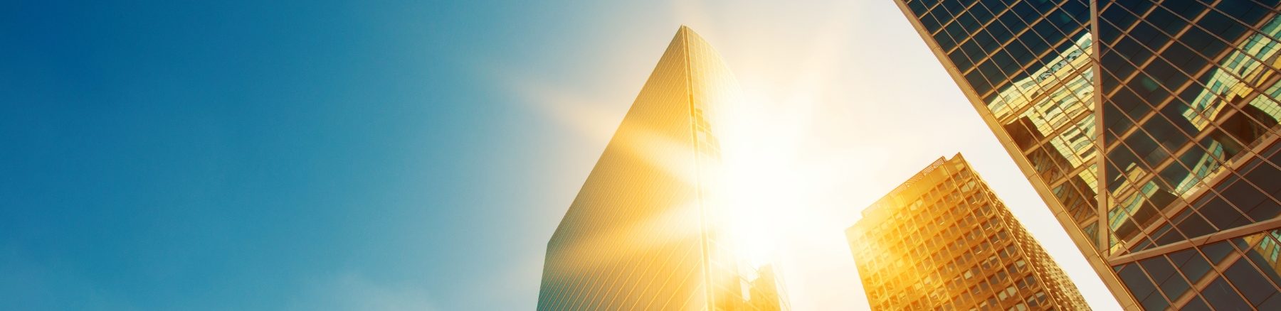 Cuscaden Peak Investments